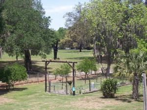 Maddox Ranch