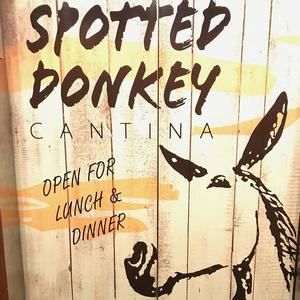 Spotted Donkey at the Hilton Resort